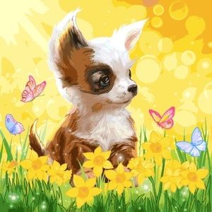 Meet your Posher, Daniela